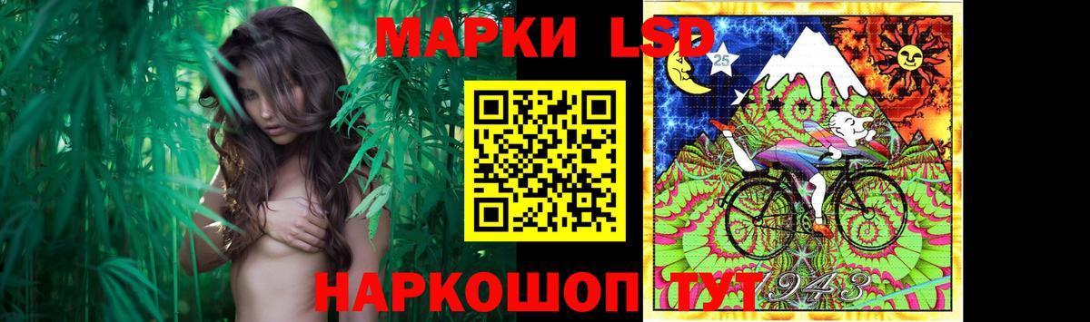 Новый Уренгой  omg маркетплейс  LSD-25 экстази кислота  Вход с VPN  LSD-25 экстази ecstasy 