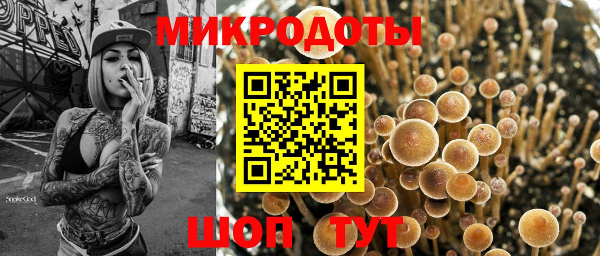 Псилоцибиновые грибы Cubensis  Вход с VPN  Новый Уренгой 