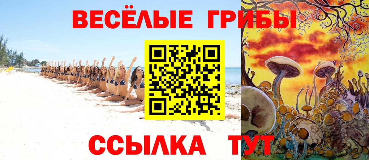 Галлюциногенные грибы Cubensis Новый Уренгой
